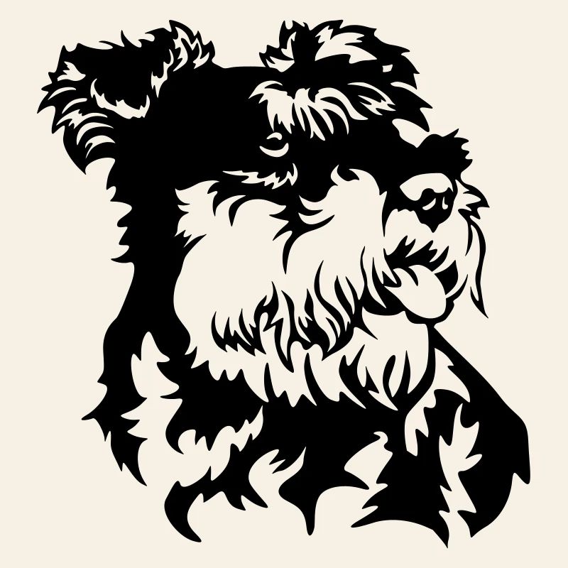 Miniature Schnauzer Head