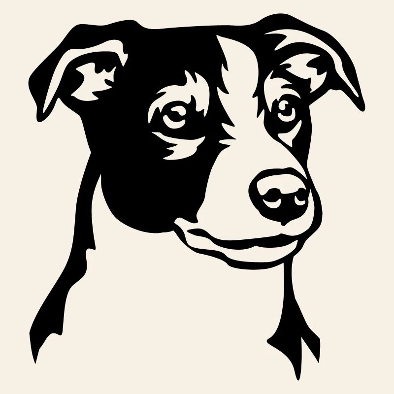 Tête de Jack Russell Terrier