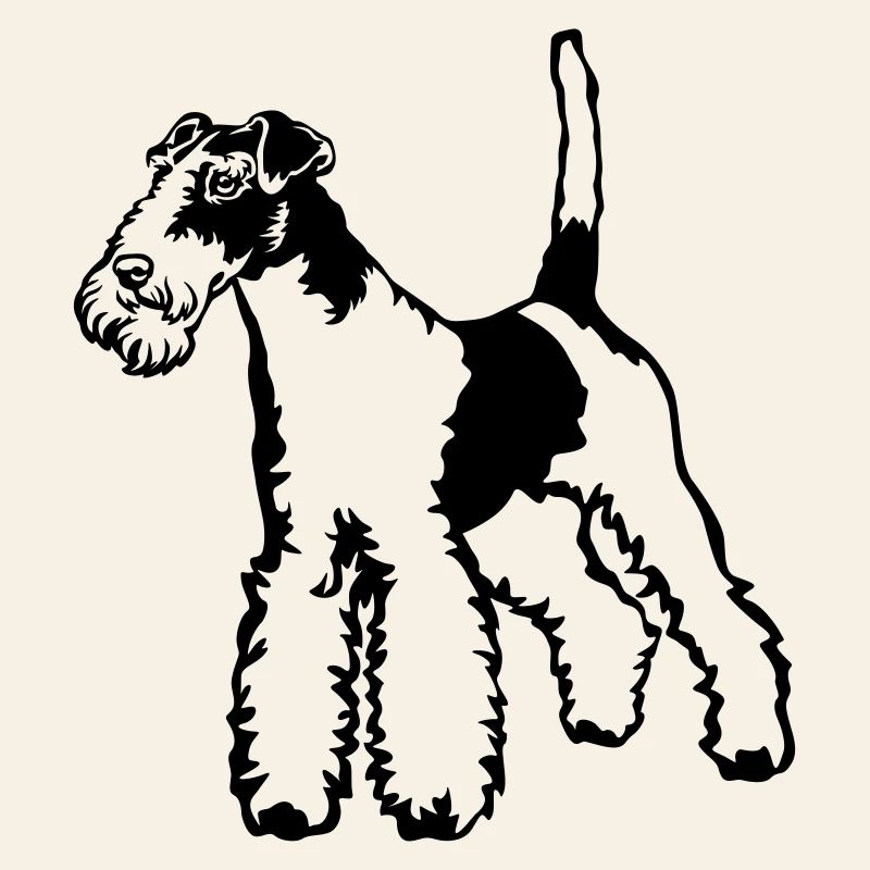Foxterrier