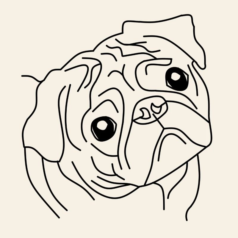 Pug Face - Le compagnon mignon