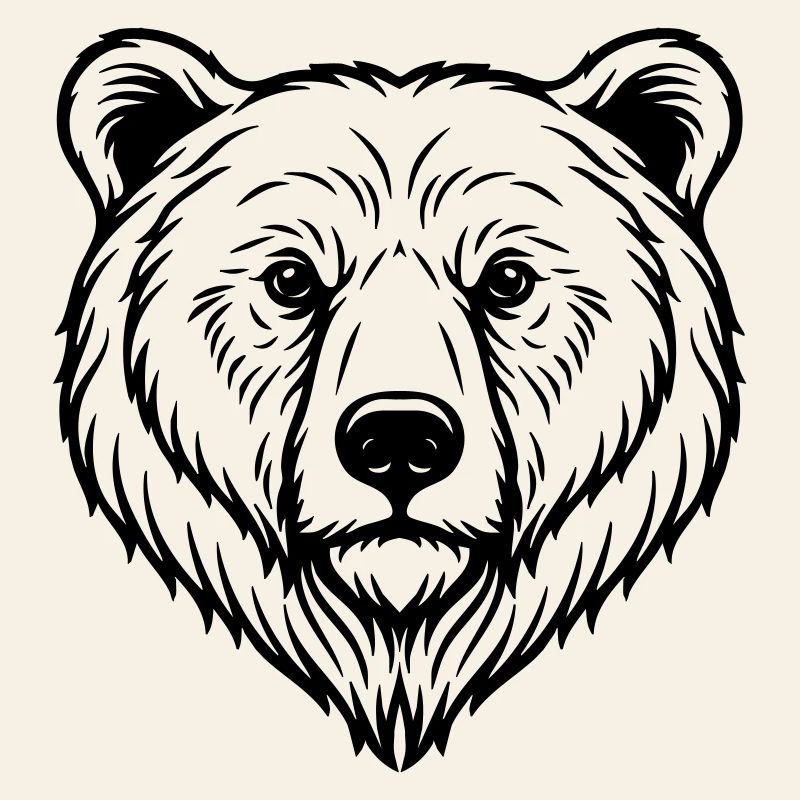 Bear Illustration