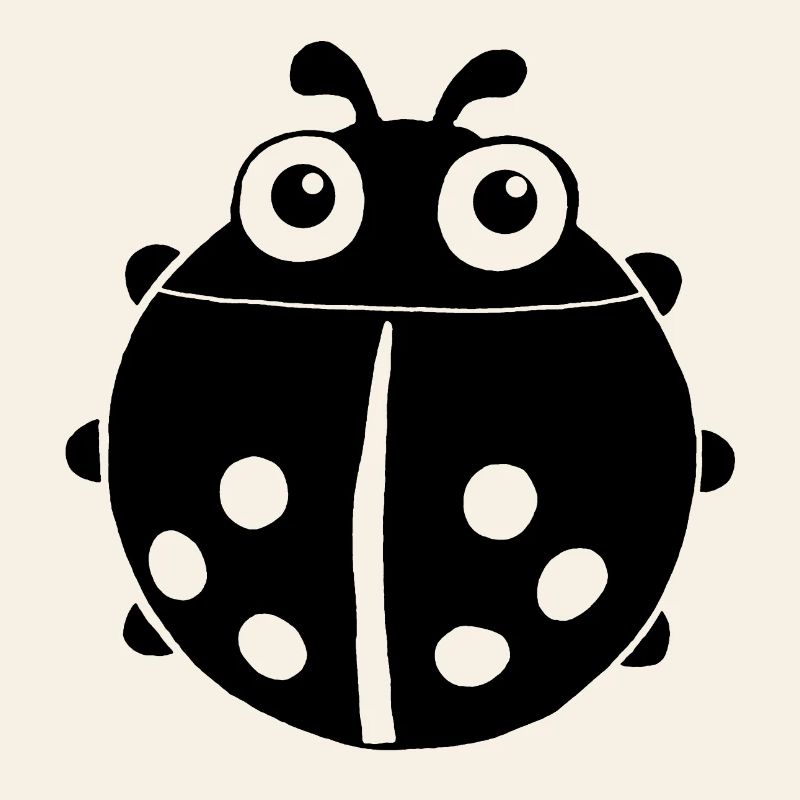 Black ladybug