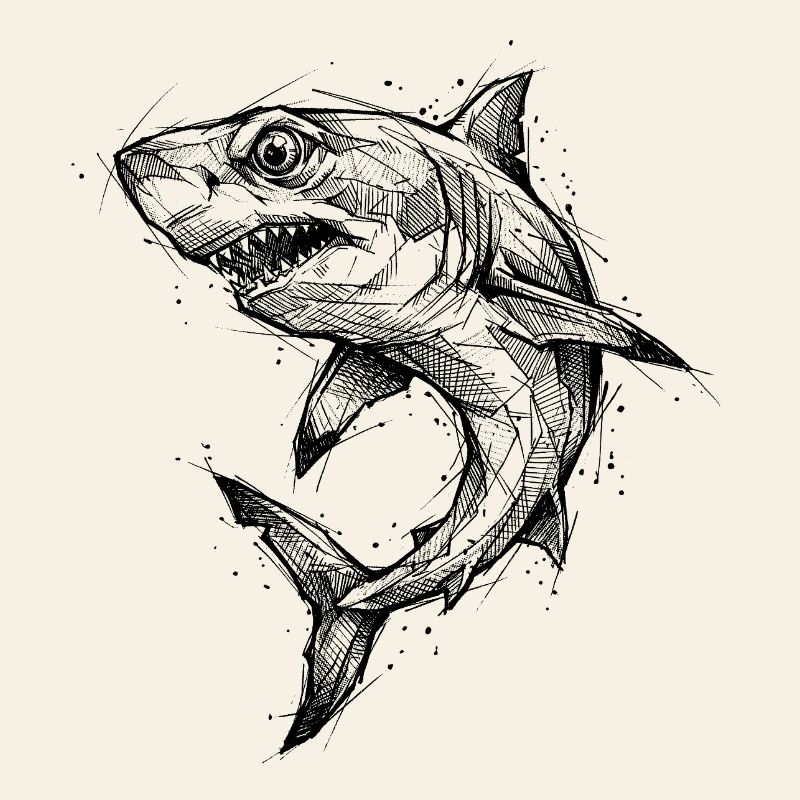 Géométrie de requin - Conception moderne de croquis de requin
