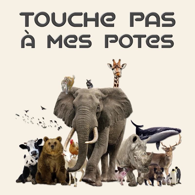 Touche pas à mes potes