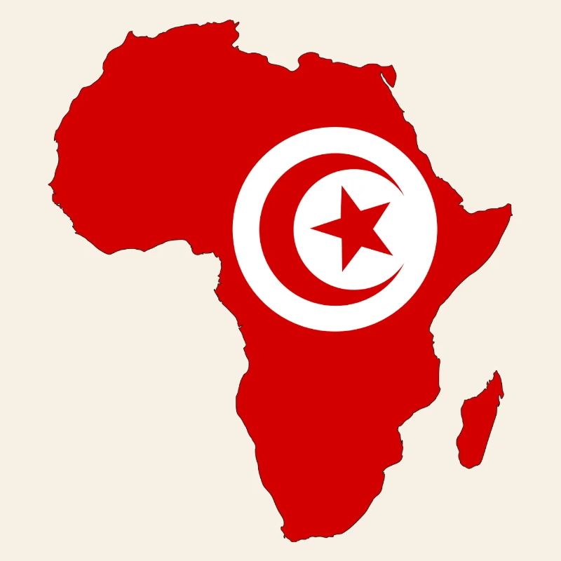 Drapeau de la Tunisie Afrique