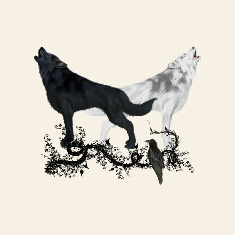 Stunning black and white wolf