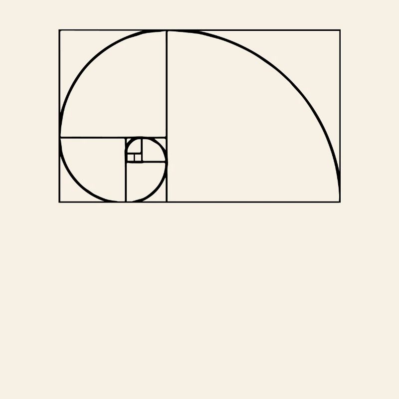Fibonacci Tshirt