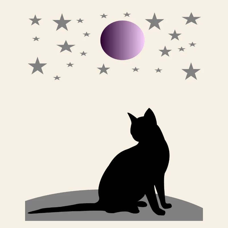 Ciel étoilé avec lune et chat