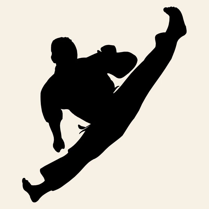 Jumpkick Geri Kick Karate oder Teakwondo