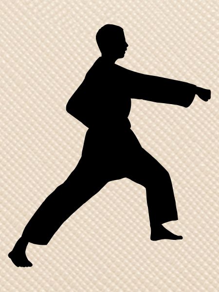 Punsch Karate oder Teakwondo Punsch