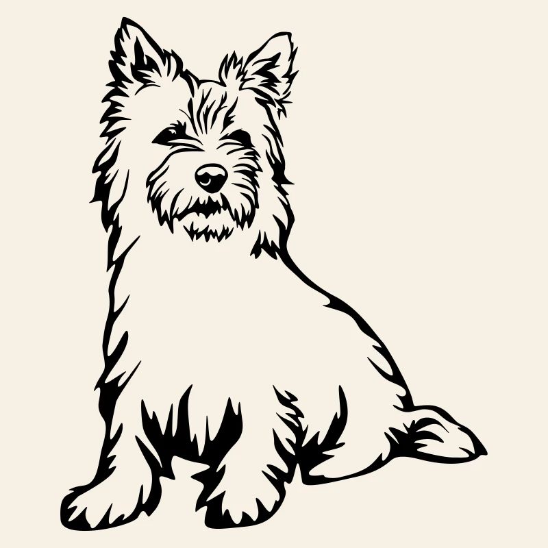 Cairn Terrier