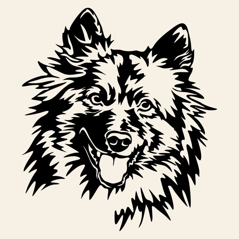 Wolfsspitz Kopf