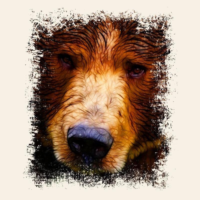 Brown Bear Bear Eyes