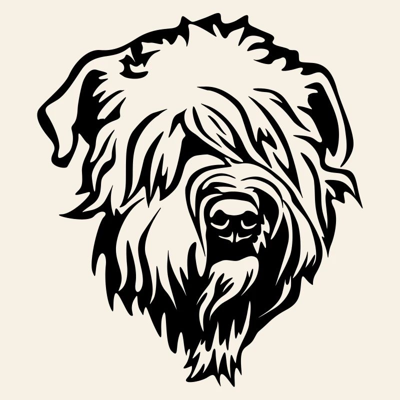 Tête de Terrier wheaten