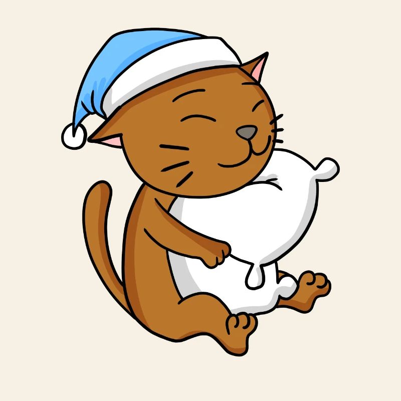 Chat race de chat Chat Abyssin