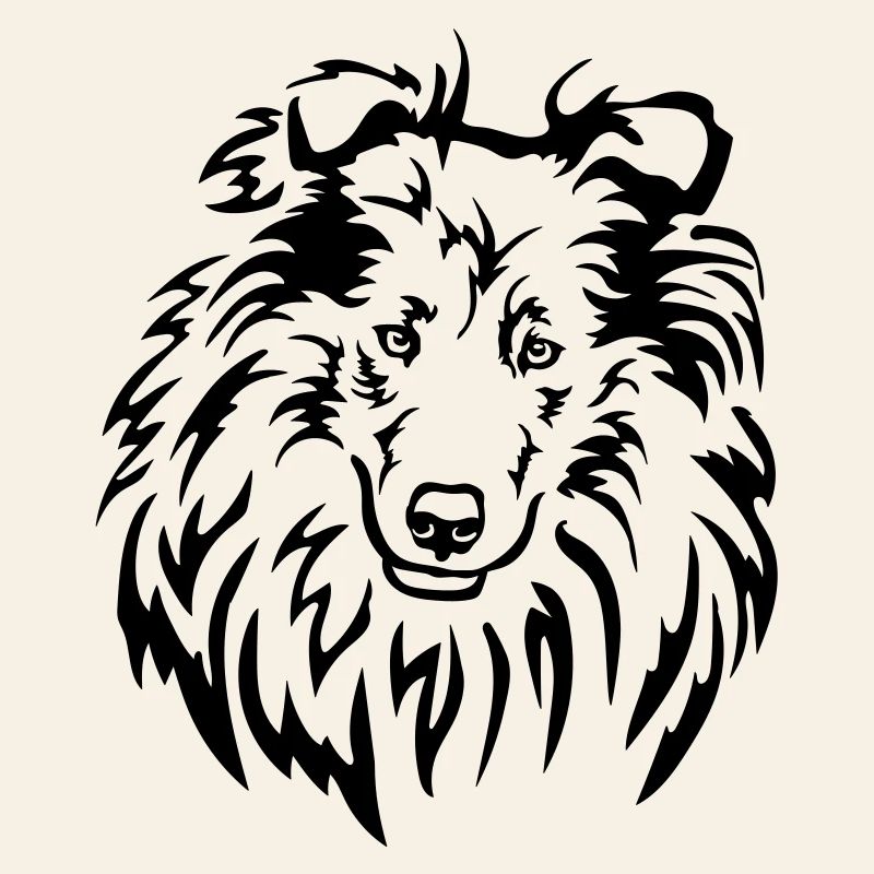 Tête de Collie
