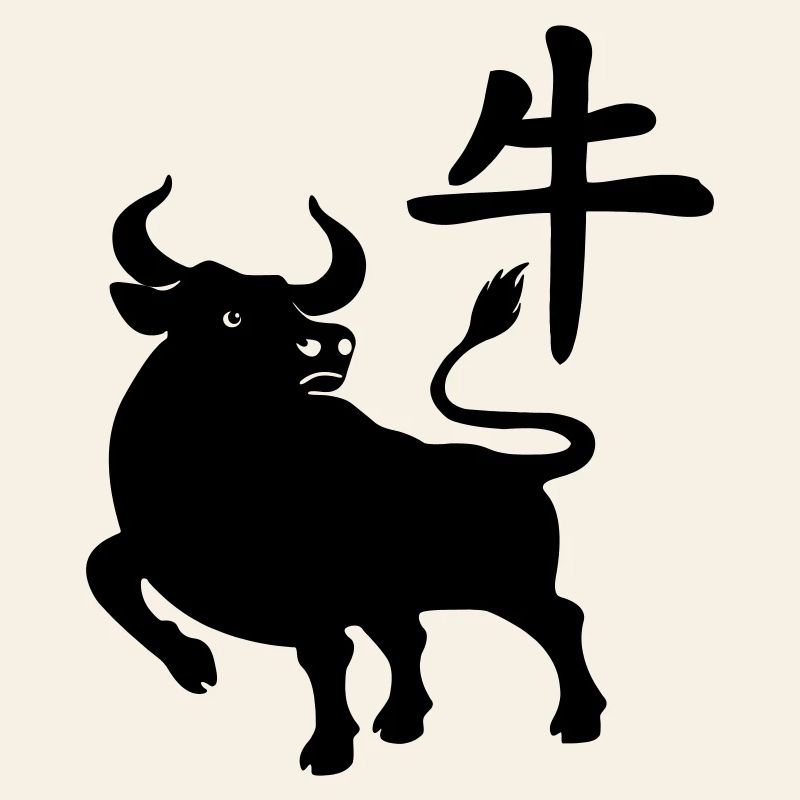 Caractère chinois OS avec image du système d’exploitation, ombre