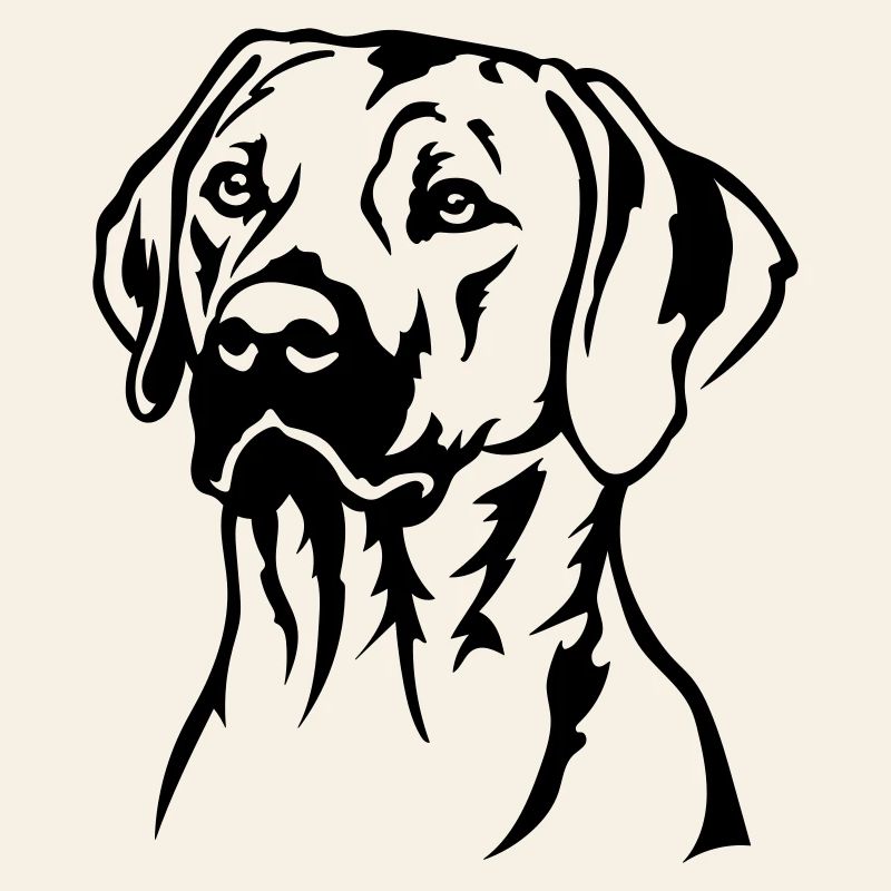 Rhodesian Ridgeback Kopf