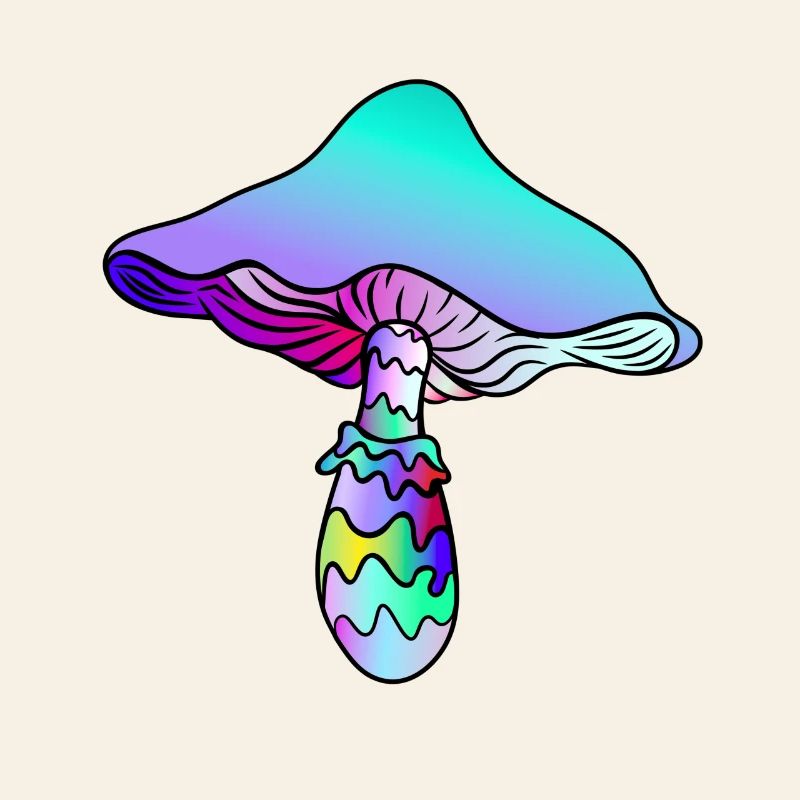 Champignon Psychédélique - Champignon Arc-en-ciel