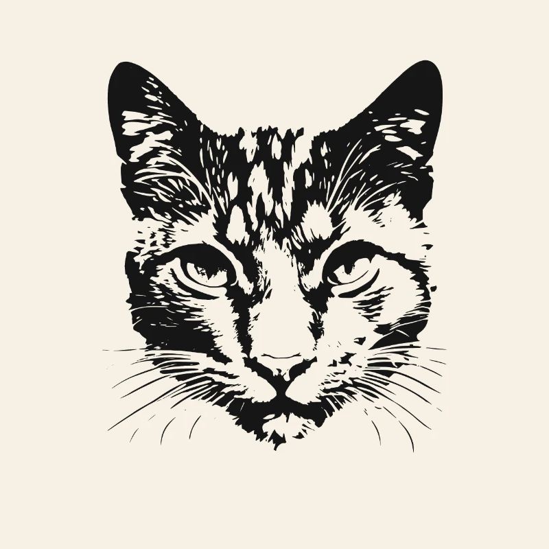 Katze 6