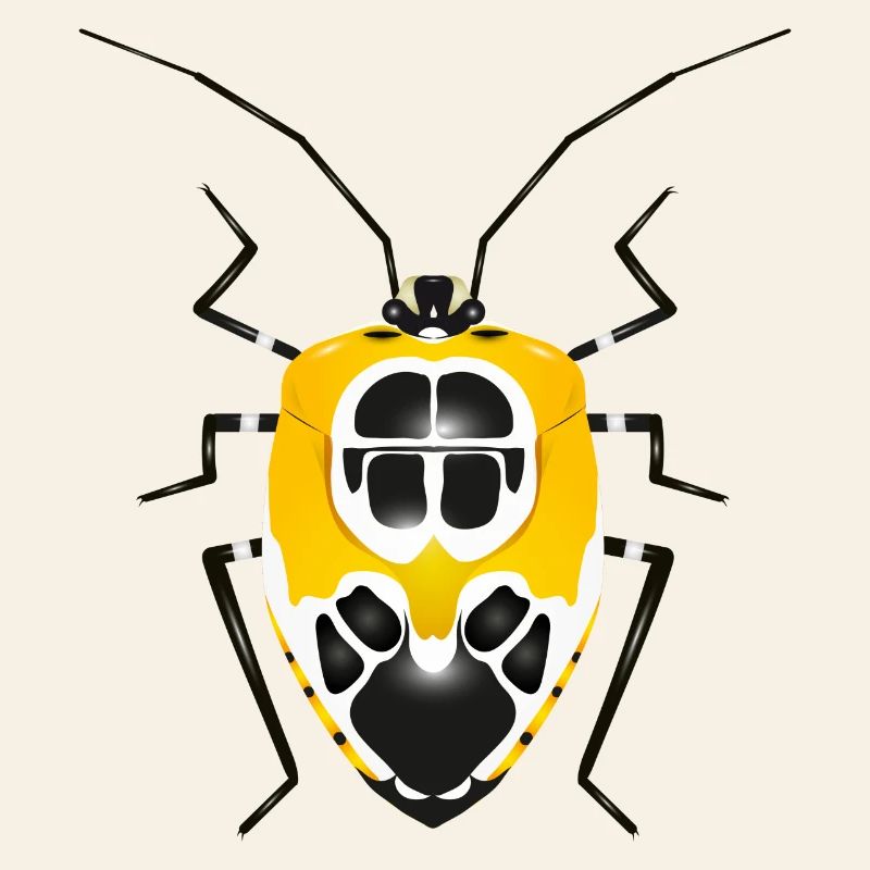Runibia decorata Creepy Crawly Insect Yellow Black