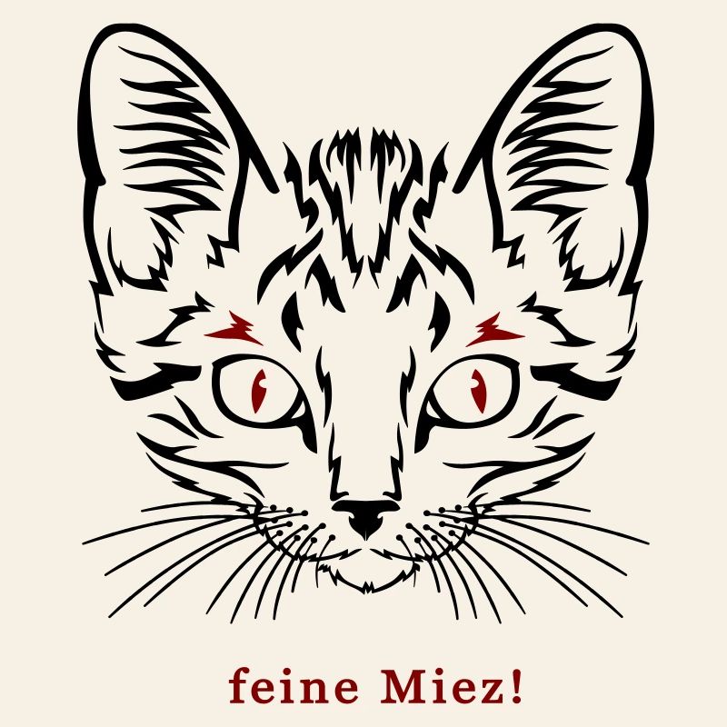 Cat, fine kitty