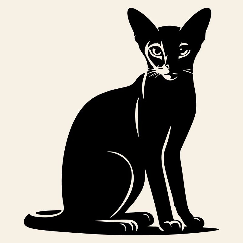 Abyssinian Cat