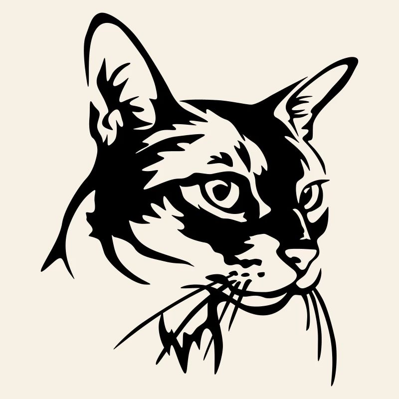 Abessiner Katze