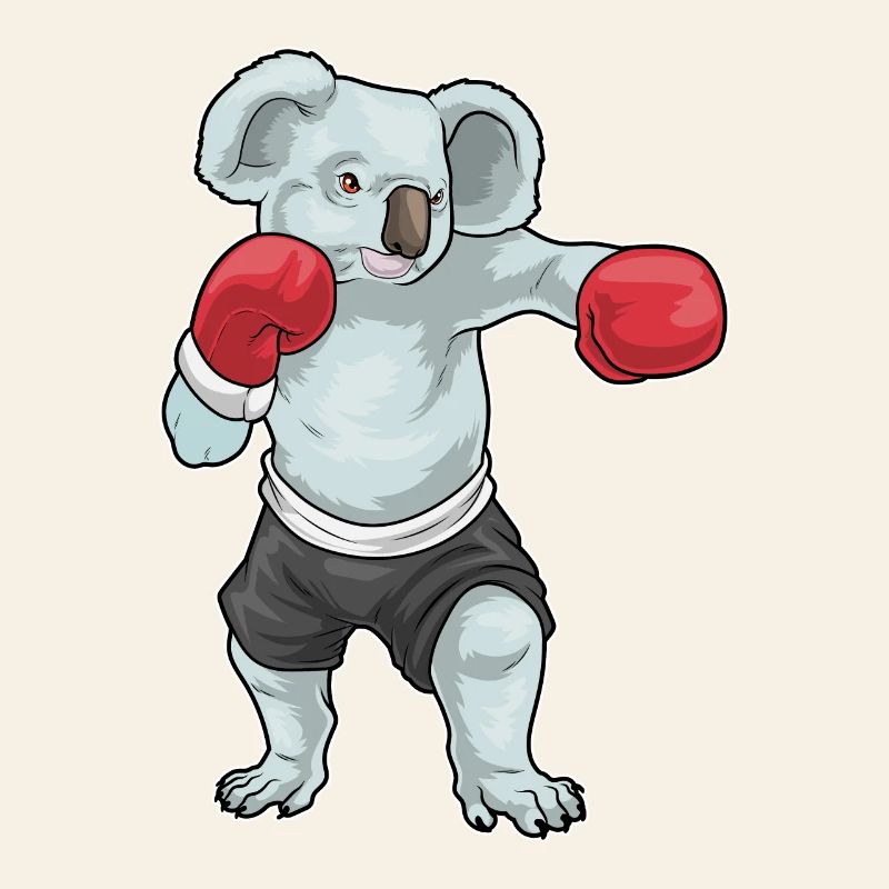 Koala Boxer Gants de Boxe Boxe