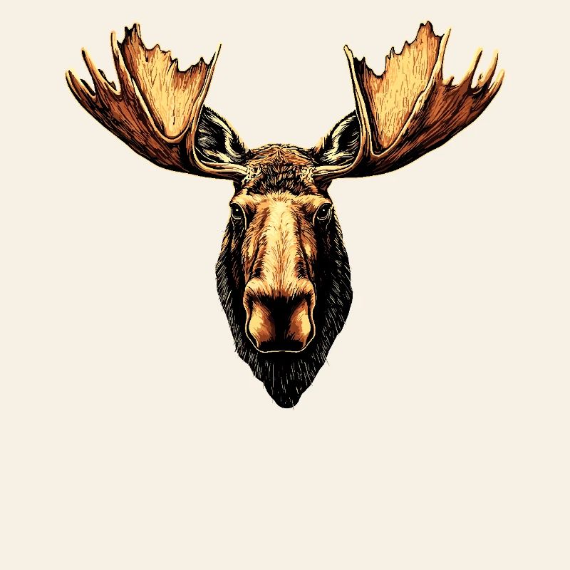 Elch Moose Elchbulle Geweih Hirsch Wilde Elche