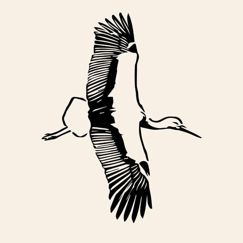 Le vol de la cigogne
