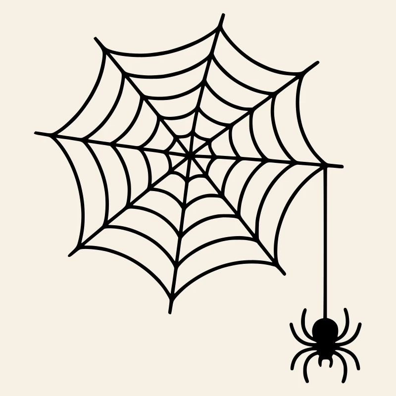 Spider web with spider silhouette