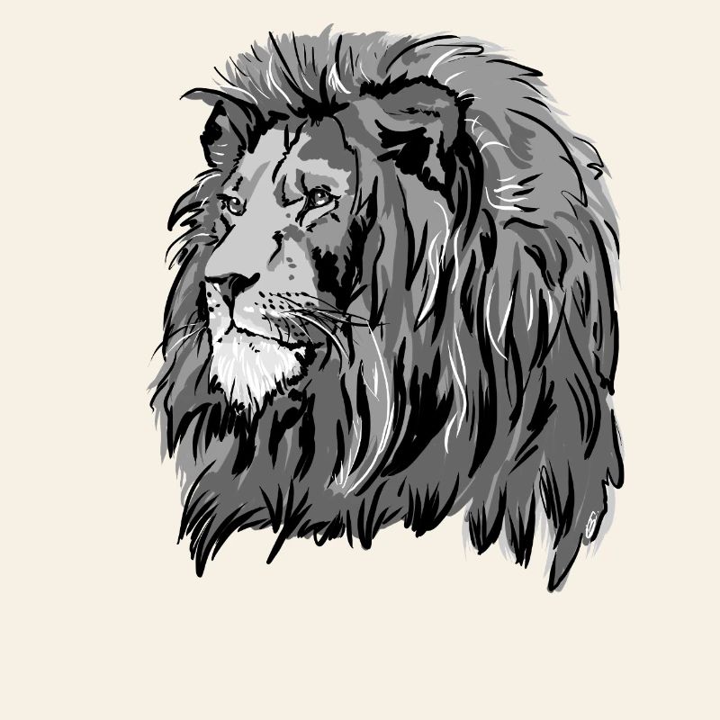 Lion's head in grayscale
