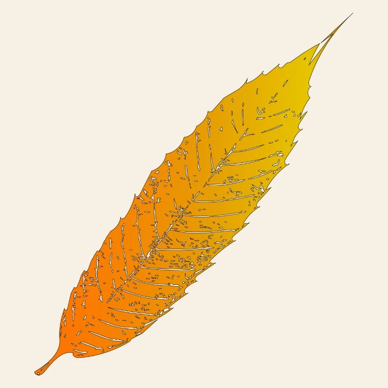 Dégradé de feuilles d’automne