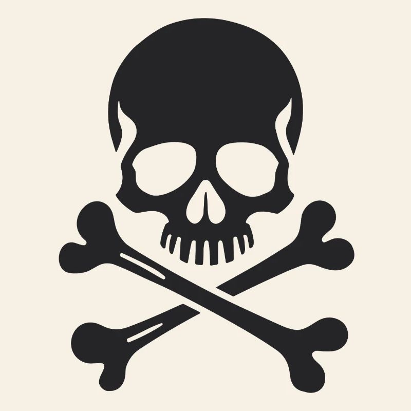 Classic Jolly Roger Skull