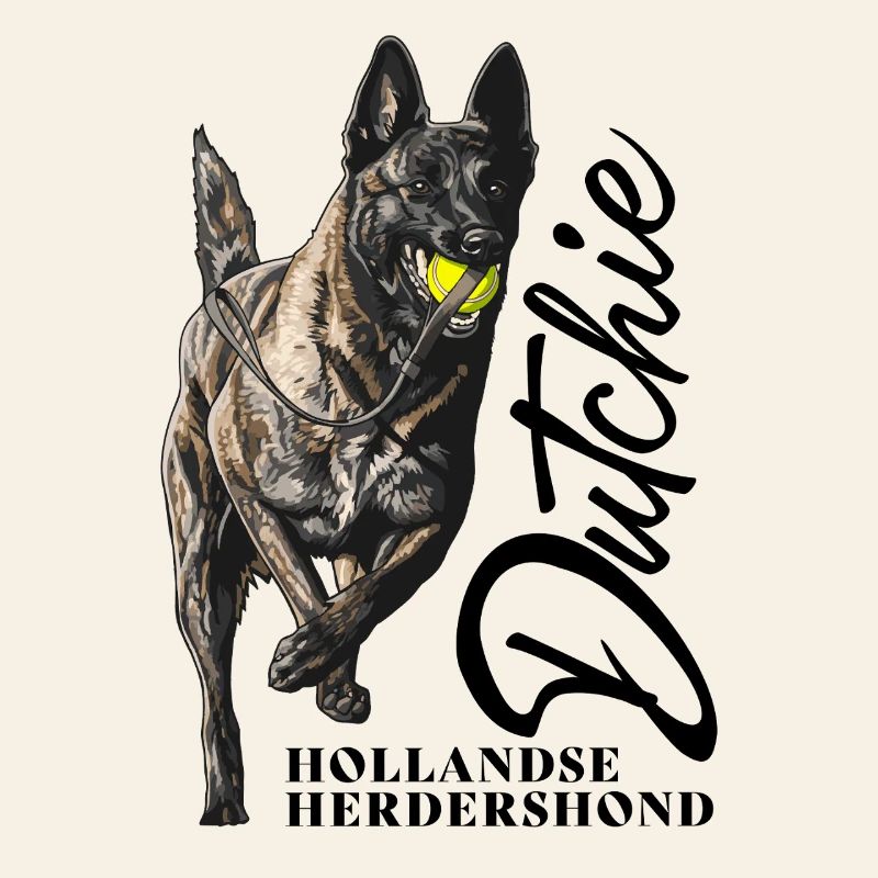 Dutch Shepherd – Dutchie