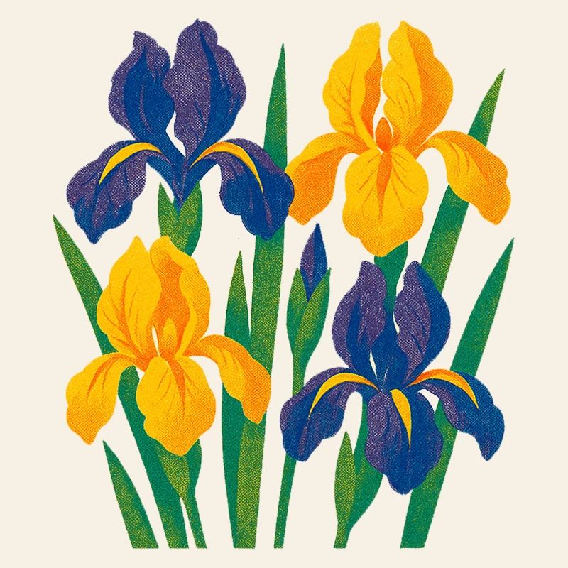 Harmonie d’iris : Fleurs dorées et indigo