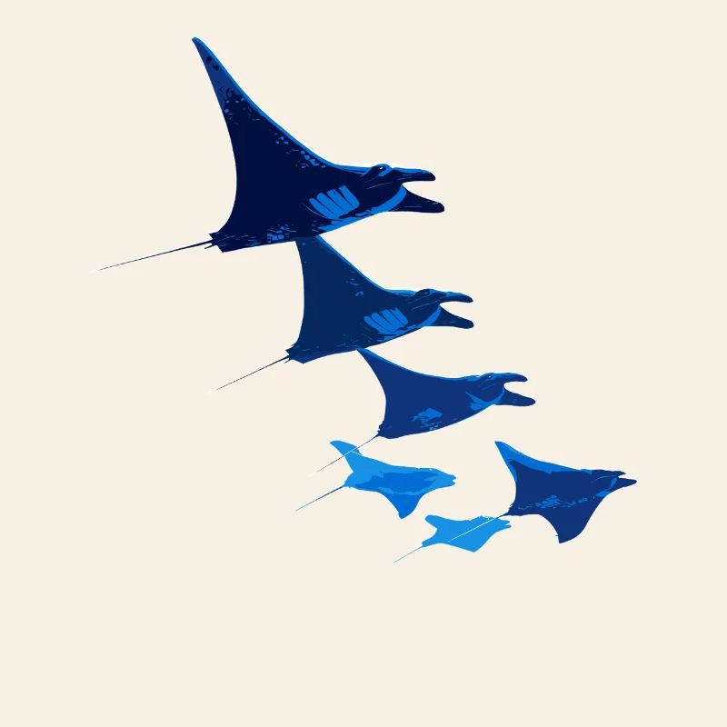 Manta Rochen Teufelsrochen Stachelrochen Taucher