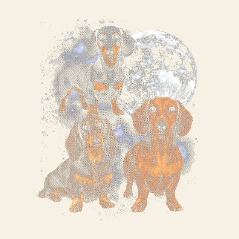 Teckel dans la lune spatiale