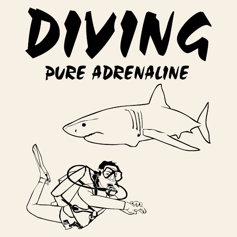 Plongée - Plongée - Plongée - Requin