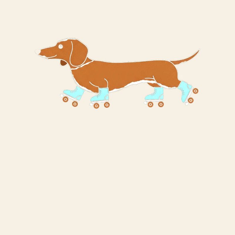 Dachshund on roller skates