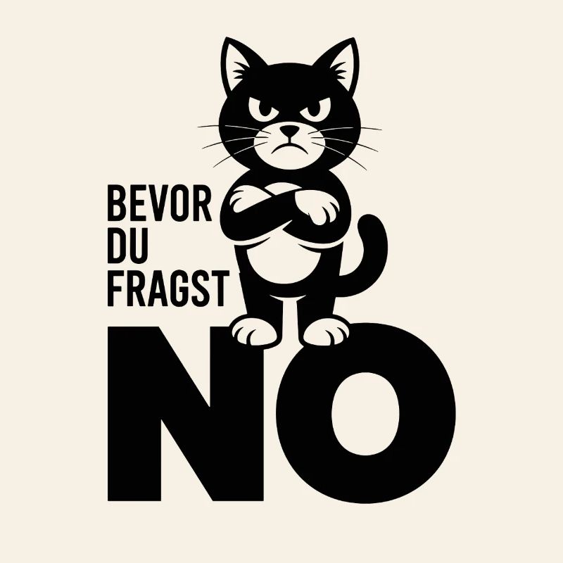  Bevor Du Fragst No Lustige Grumpy Katze