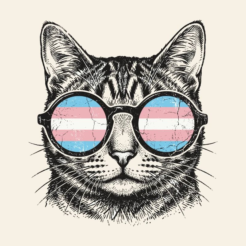 LGBT-Pride-Monat – Trans-Pride-Katze
