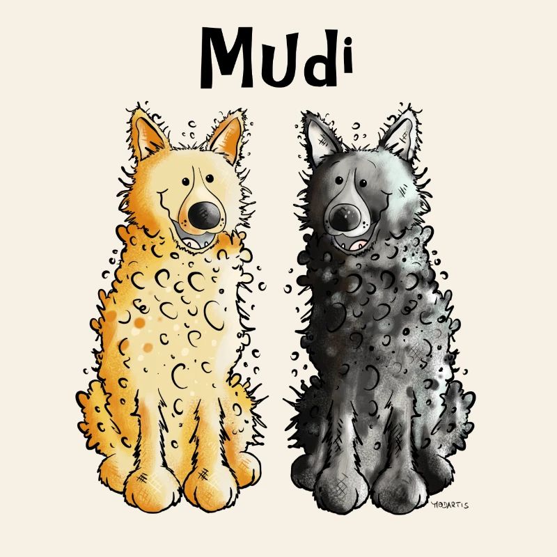 Two Mudis