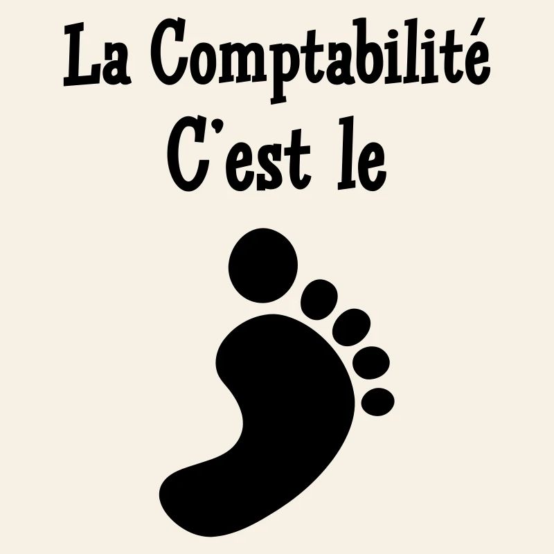Accountant / Accounting / Comptable / Comptabilité