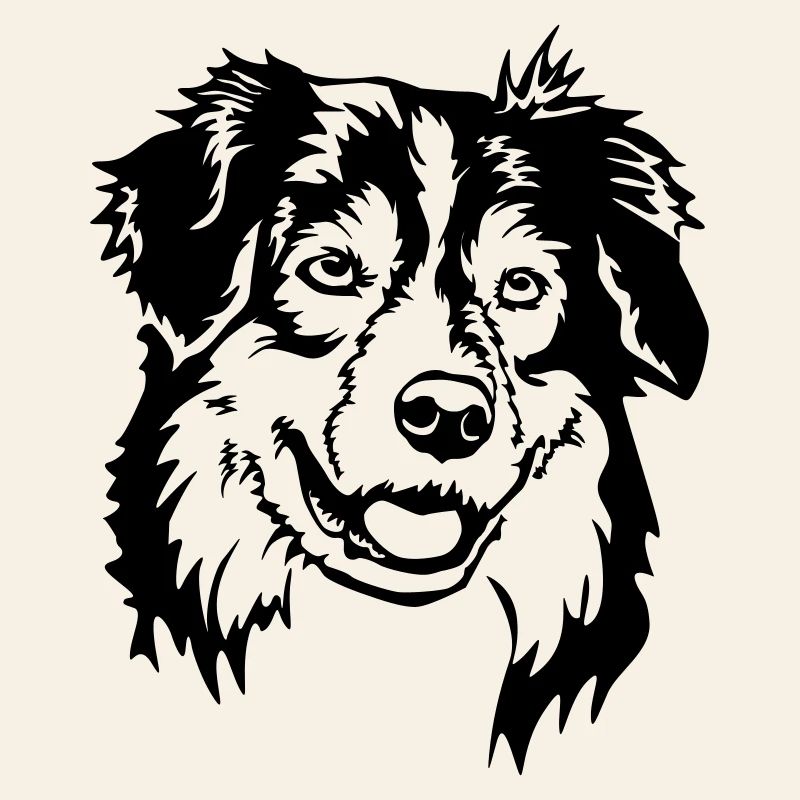 Australian Shepherd Kopf