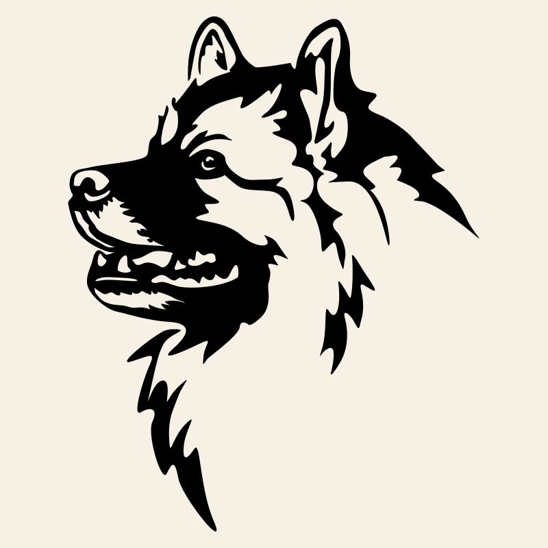 Tête de Wolfsspitz