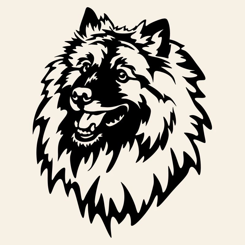 Wolfsspitz Kopf