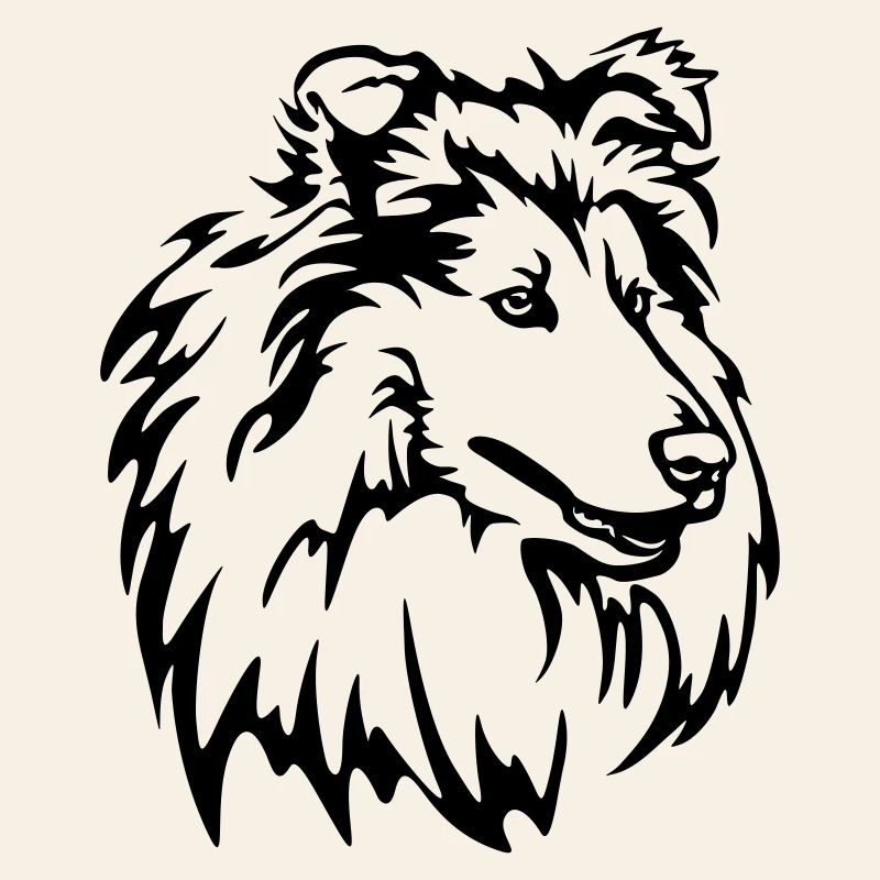 Collie Head