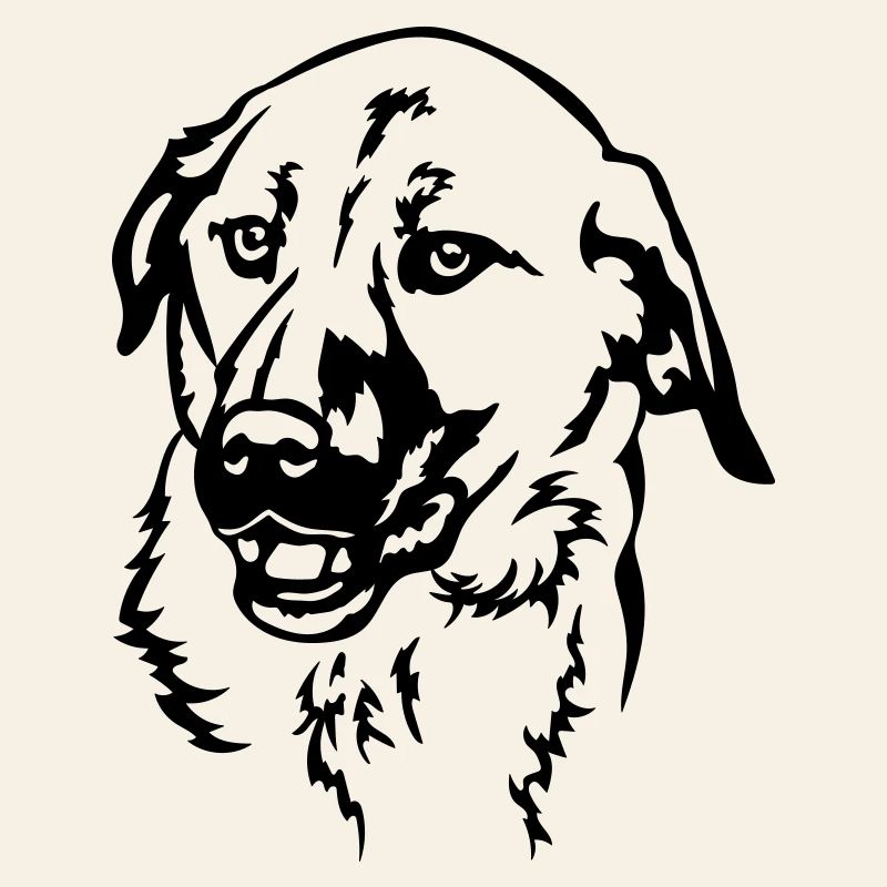 Tête de Kangal